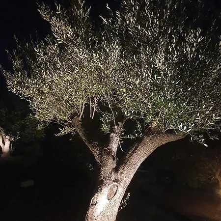 Med Πανσιόν 3*