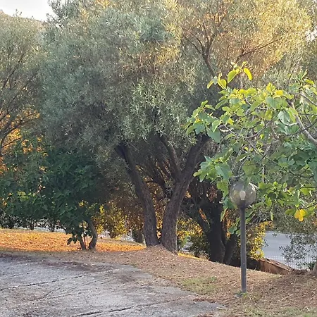 Med Πανσιόν 3*