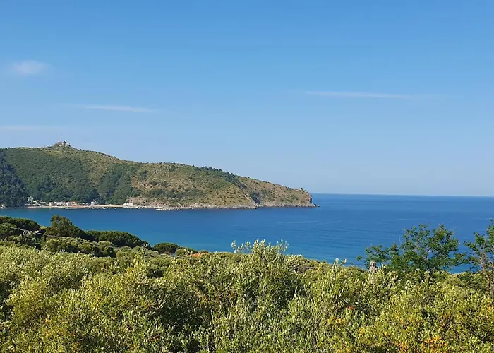 Med Affittacamere Palinuro