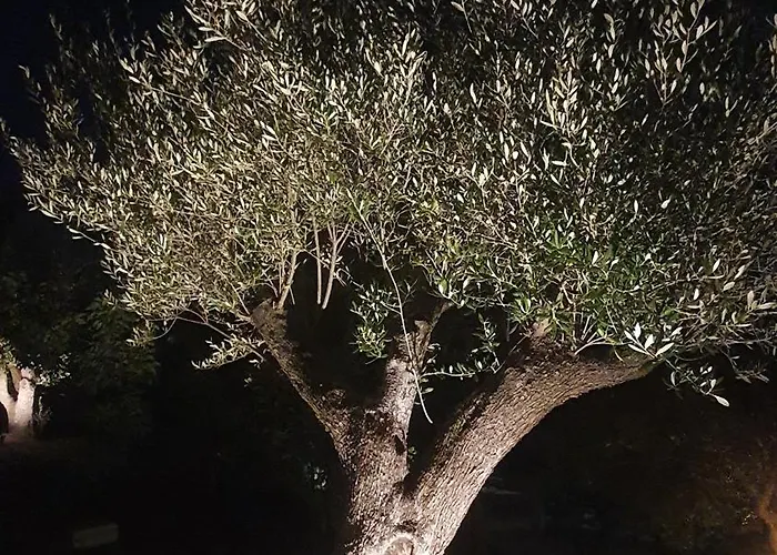 Med Affittacamere 3*